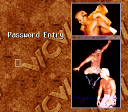 WCW Superbrawl Wrestling screenshot 5 for Super Nintendo